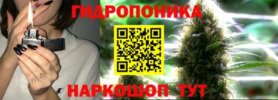 соль ск Партизанск