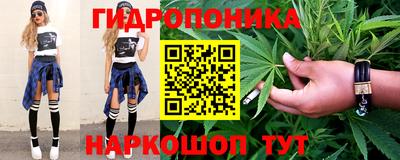 соль ск Партизанск