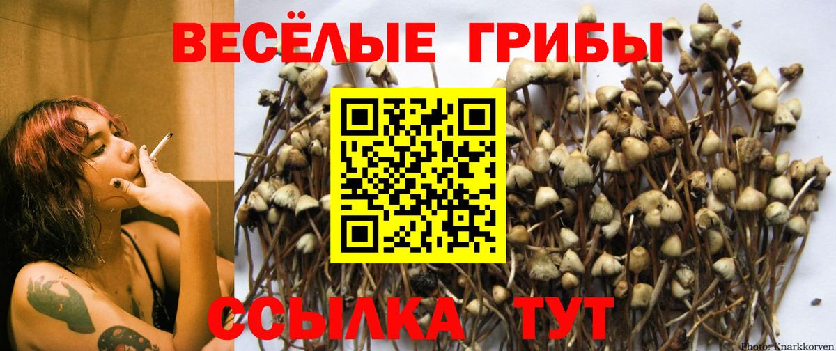 COCAIN  Гашиш  МЕТАМФЕТАМИН  Экстази  Свободный  Канабис  МАРИХУАНА  Вход с VPN  Меф МЯУ МЯУ кристаллы 