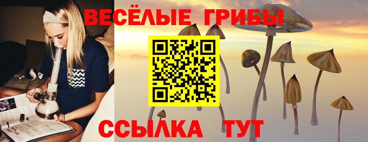 Свободный  закладка  Вход с VPN  Псилоцибиновые грибы Magic Shrooms  Псилоцибиновые грибы MAGIC MUSHROOMS 